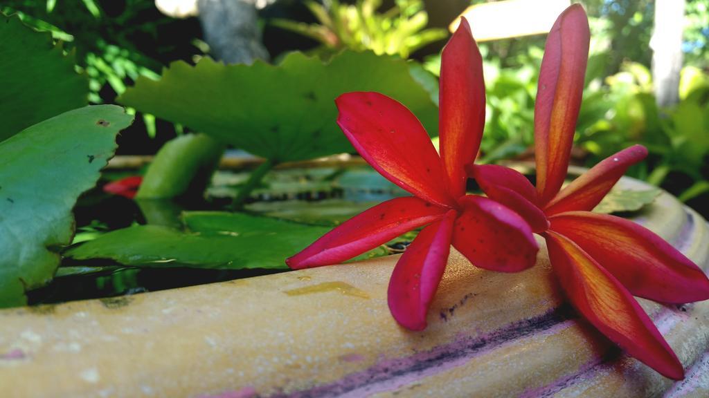 Aonang Guest Home Ao Nang Екстериор снимка